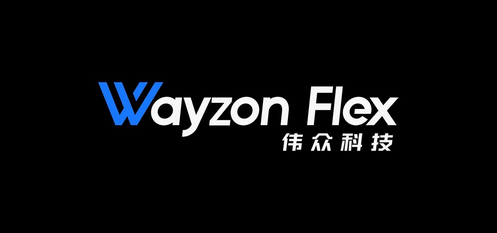 浙江伟众科技有限公司